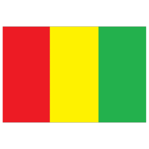 Immigration Belgique Guinee